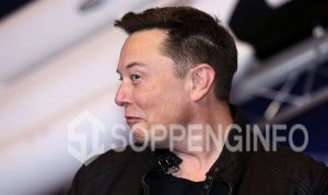 Elon musk di buat pusing karena jetnya di lacak