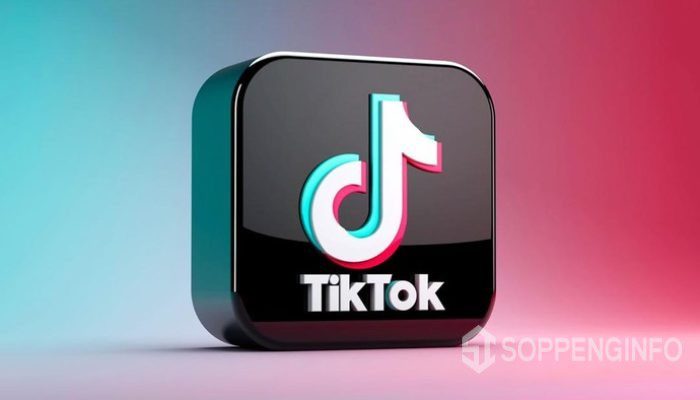 Benarkah project S Tiktok bisa “Bunuh UMKM Lokal”, Ini kata pengamat